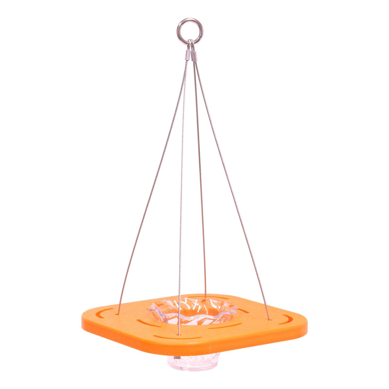 Oriole Bird Feeder, Porch Jelly-Cup Oriole Feeder