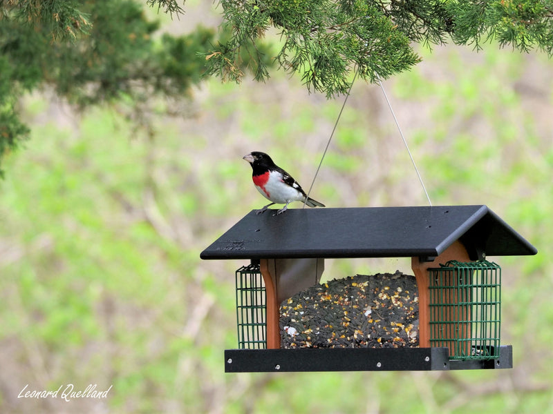 Amish-Made Deluxe Bird Feeder with Suet Holder, Made With Poly Lumber