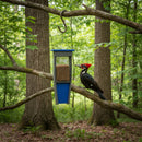 Pileated Woodpecker Suet Bird Feeder - Holds 2 Suet Cakes