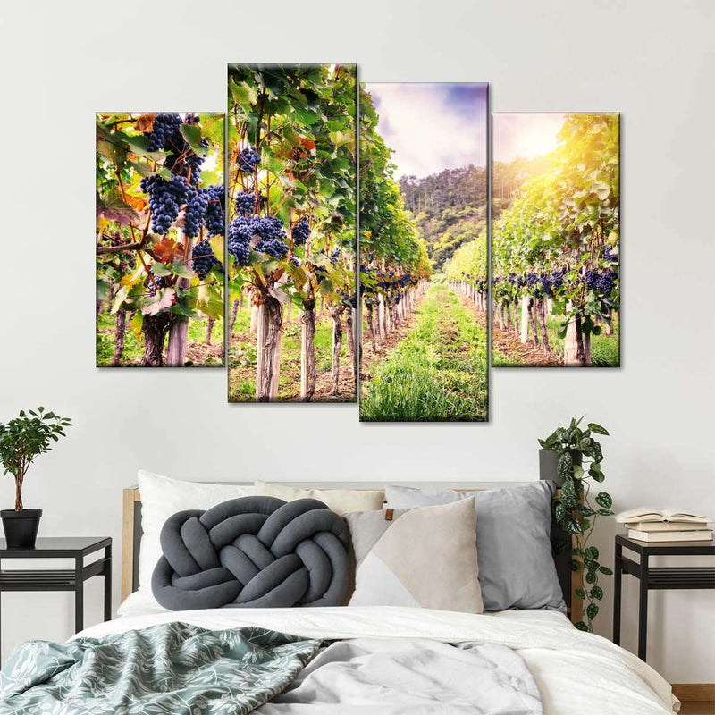 Autumn Vineyard Landscape Wall Art