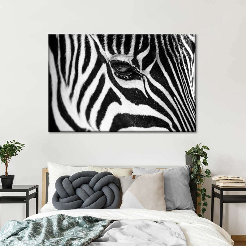 Zebra Eye Wall Art