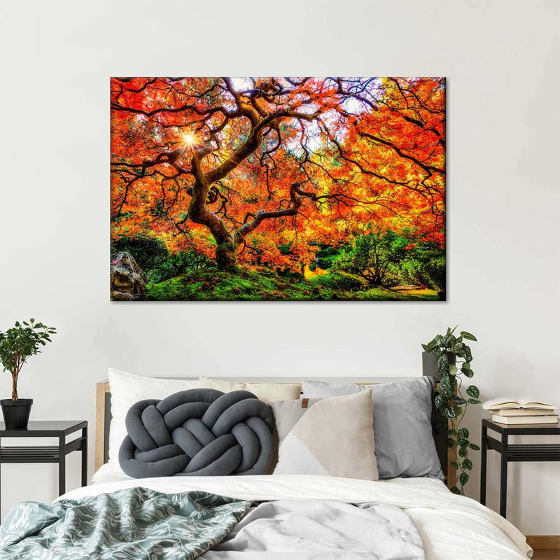 Autumn Japanese Maple Tree Wall Art