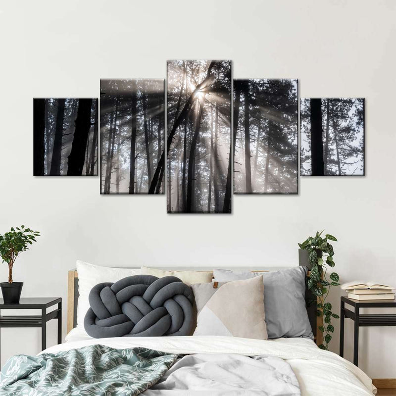 Forest Sun Beam Wall Art