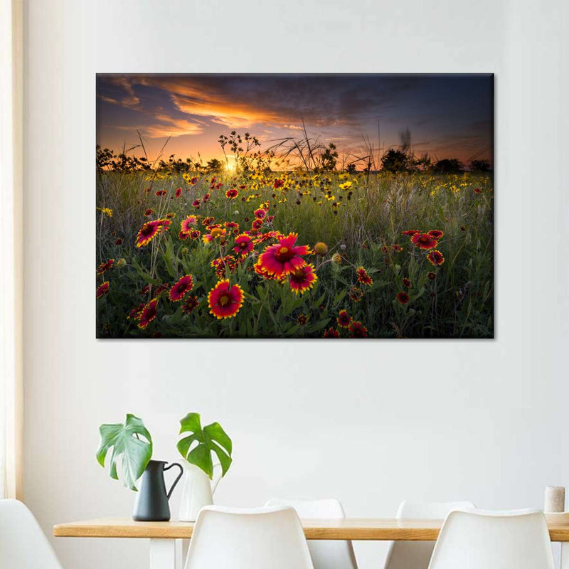 Dawn At Flower Field Wall Art