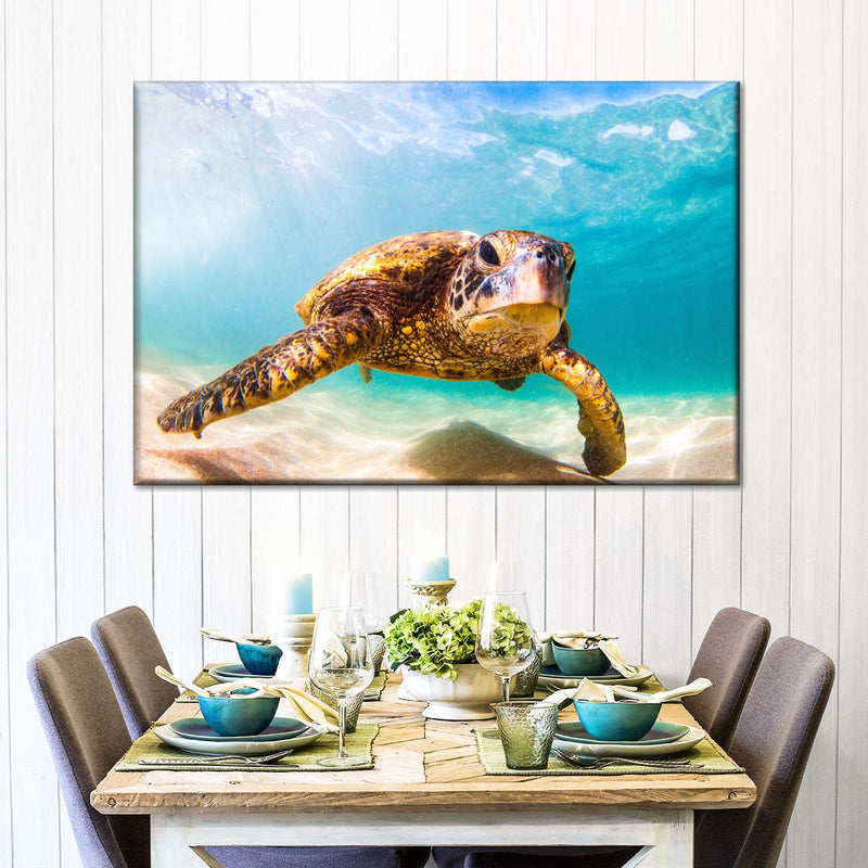 Hawaiian Turtle Wall Art