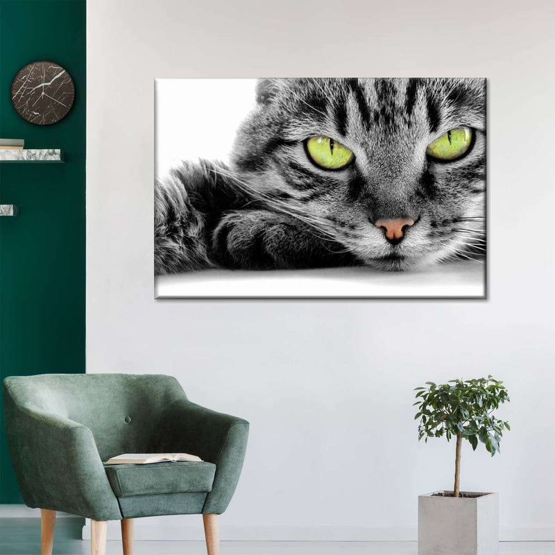 Green Eyed Cat Wall Art