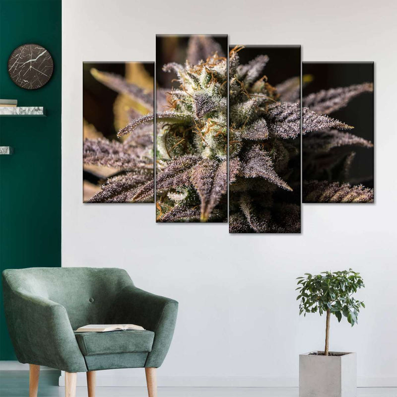 Marijuana In Winter Wall Art