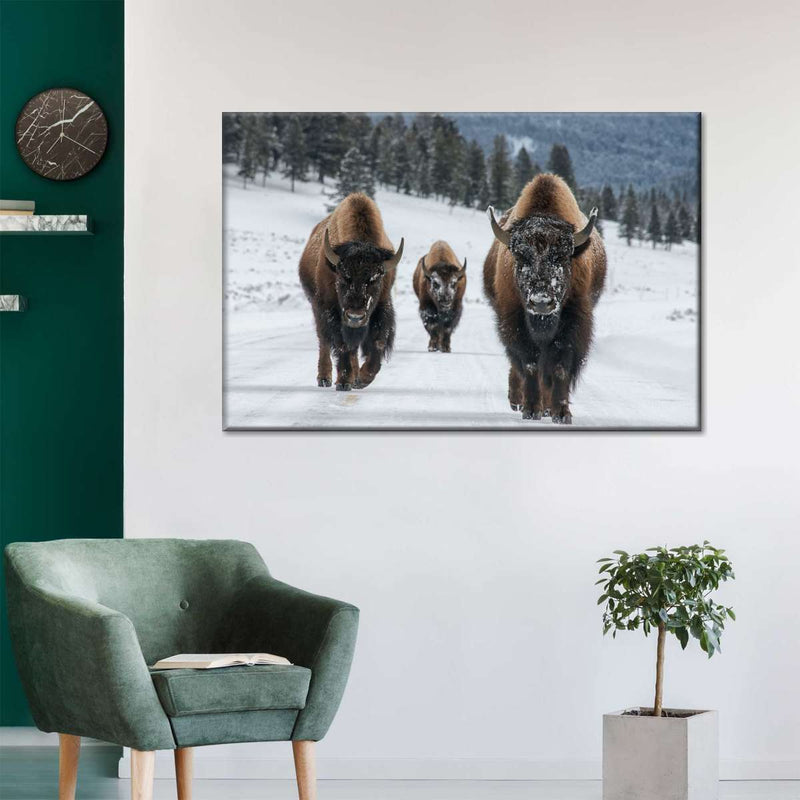 Bison Family In Yellowstone National Park Wall Art