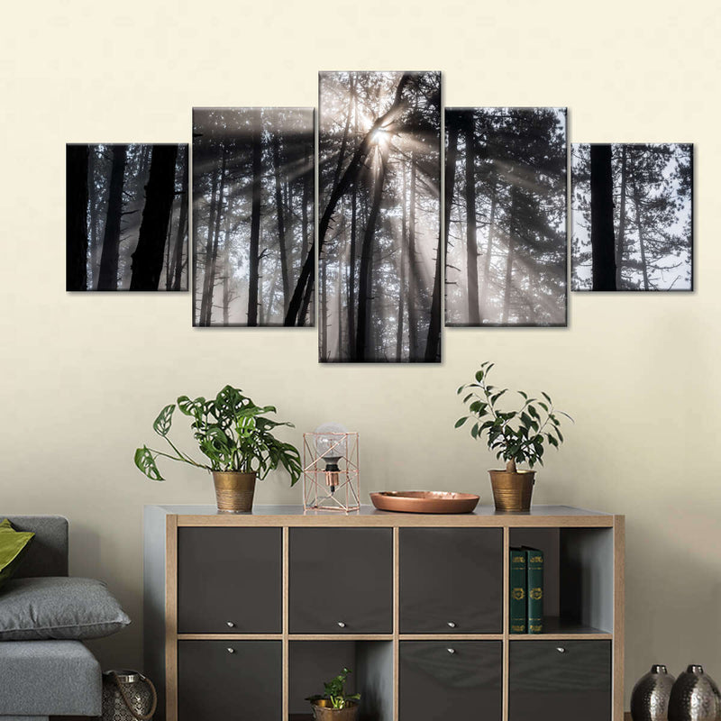 Forest Sun Beam Wall Art