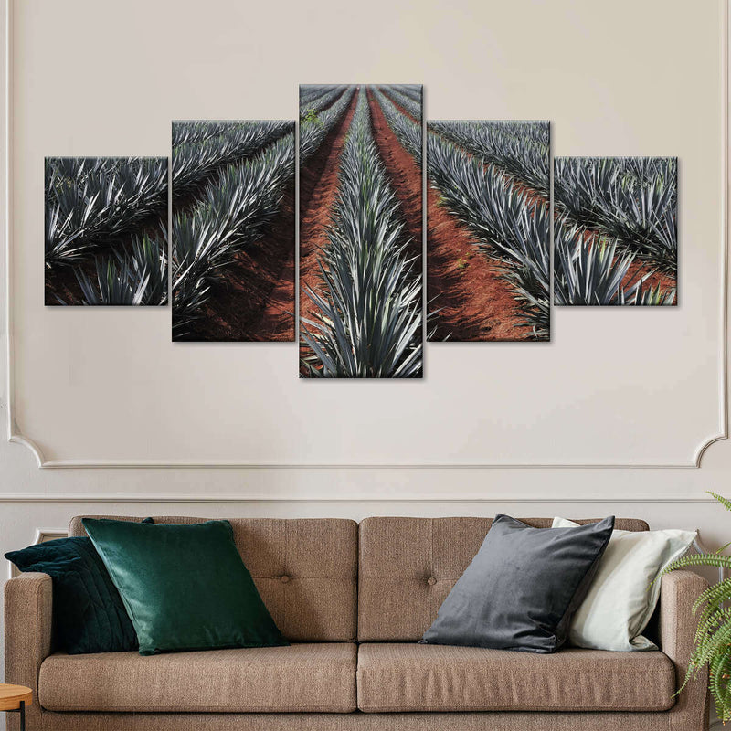 Agave Field Wall Art