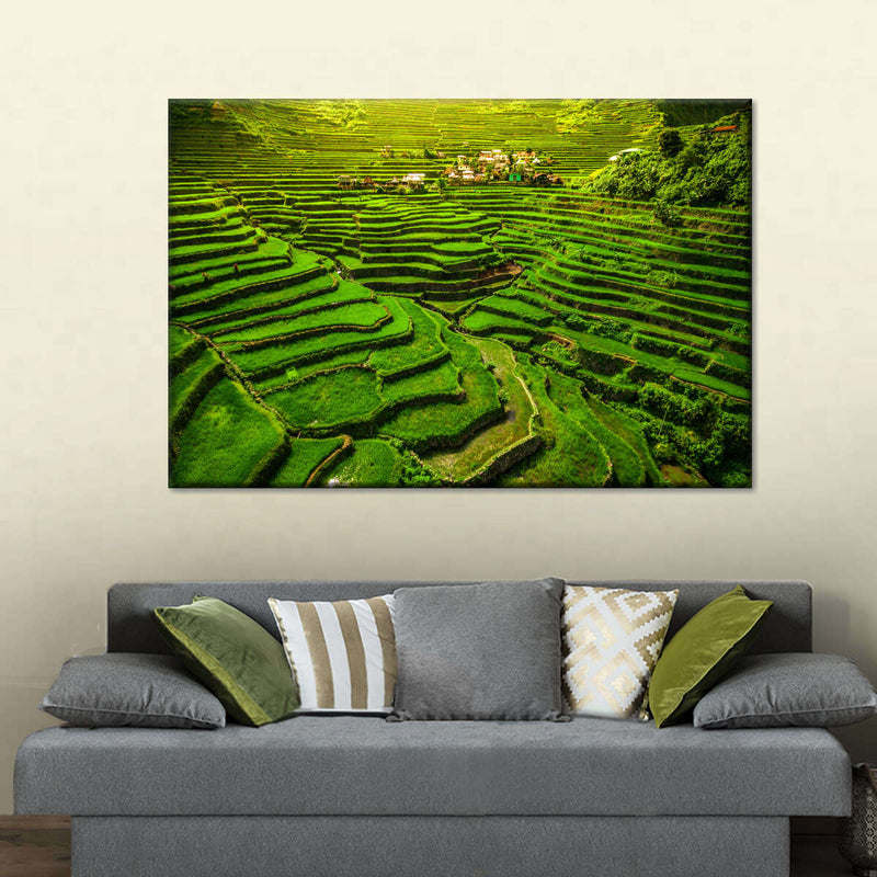 Historic Ifugao Rice Terraces Wall Art