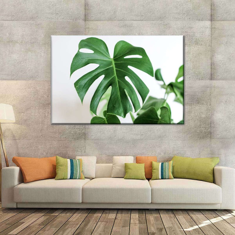 Monstera Leaf Wall Art