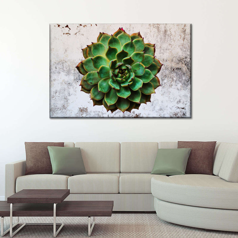 Grunge Succulent Wall Art