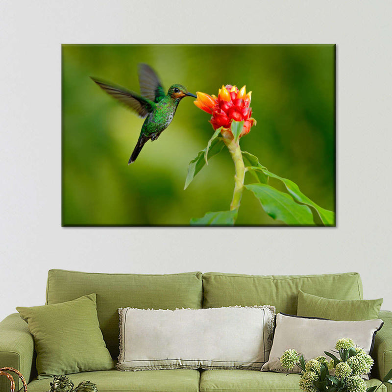 Flower And Green Hummingbird Wall Art