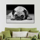 Sad Pug Wall Art