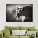 Stalking Lioness Wall Art