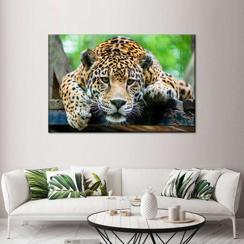 Lazy Leopard Wall Art