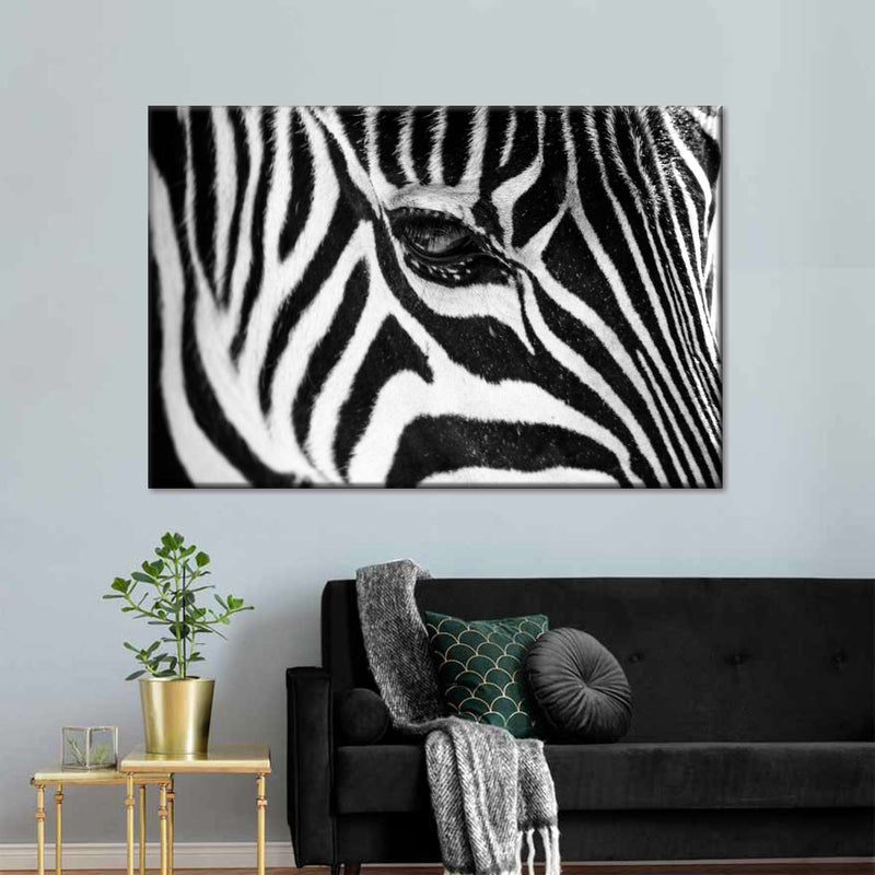 Zebra Eye Wall Art