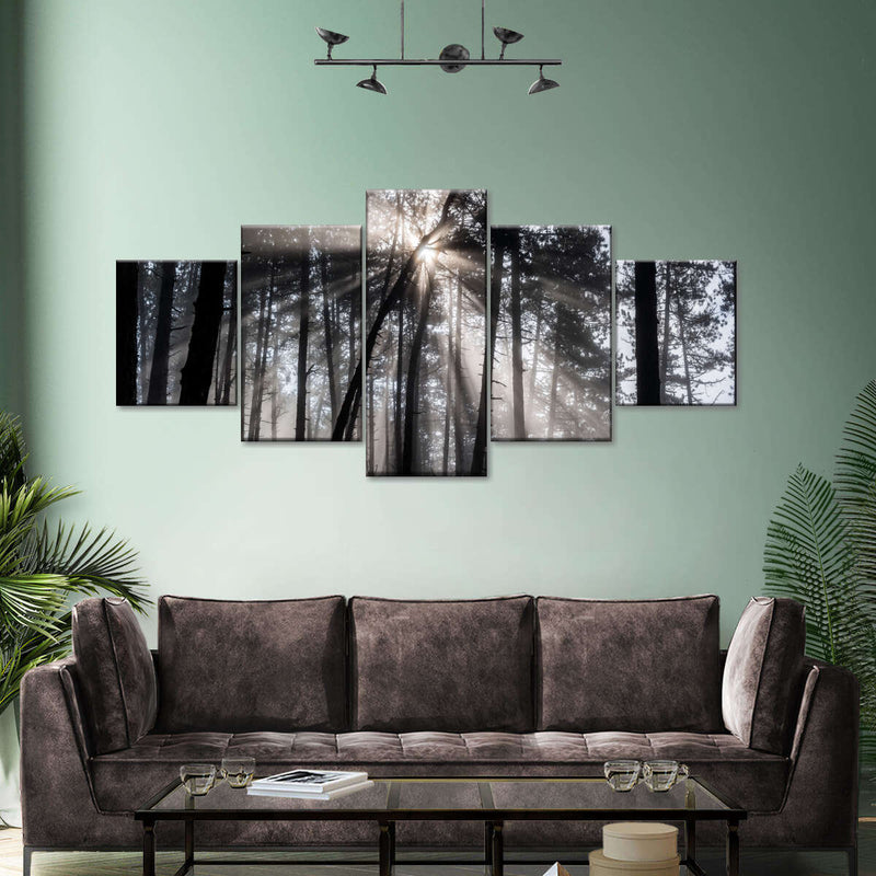 Forest Sun Beam Wall Art