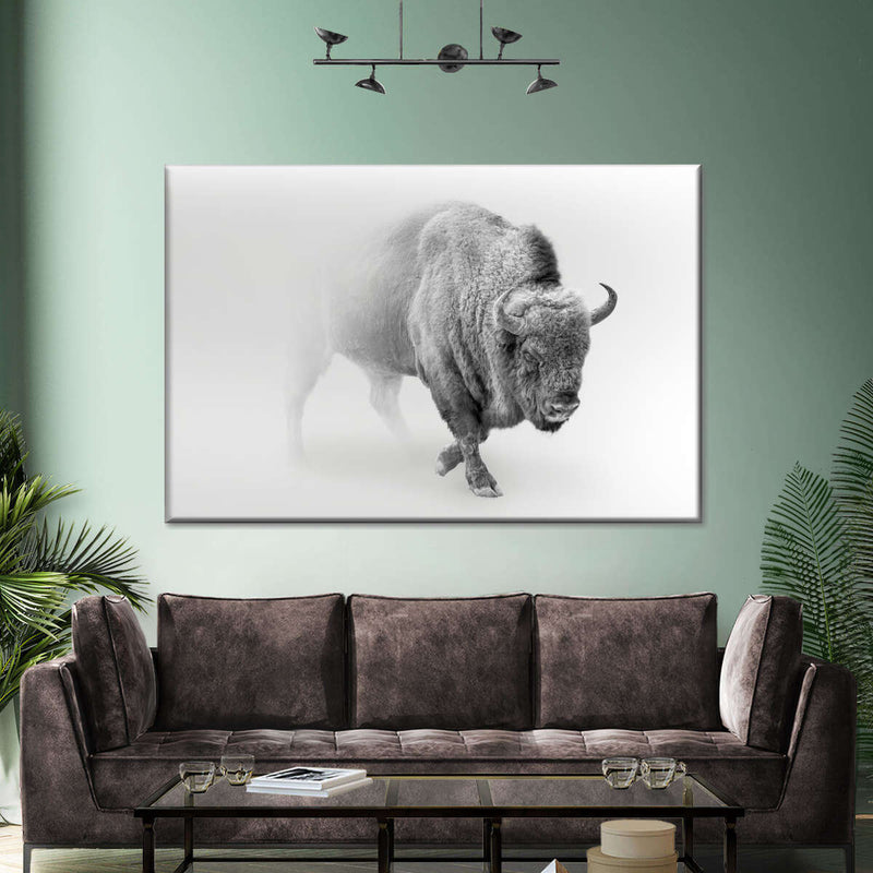 Wild Bison Wall Art