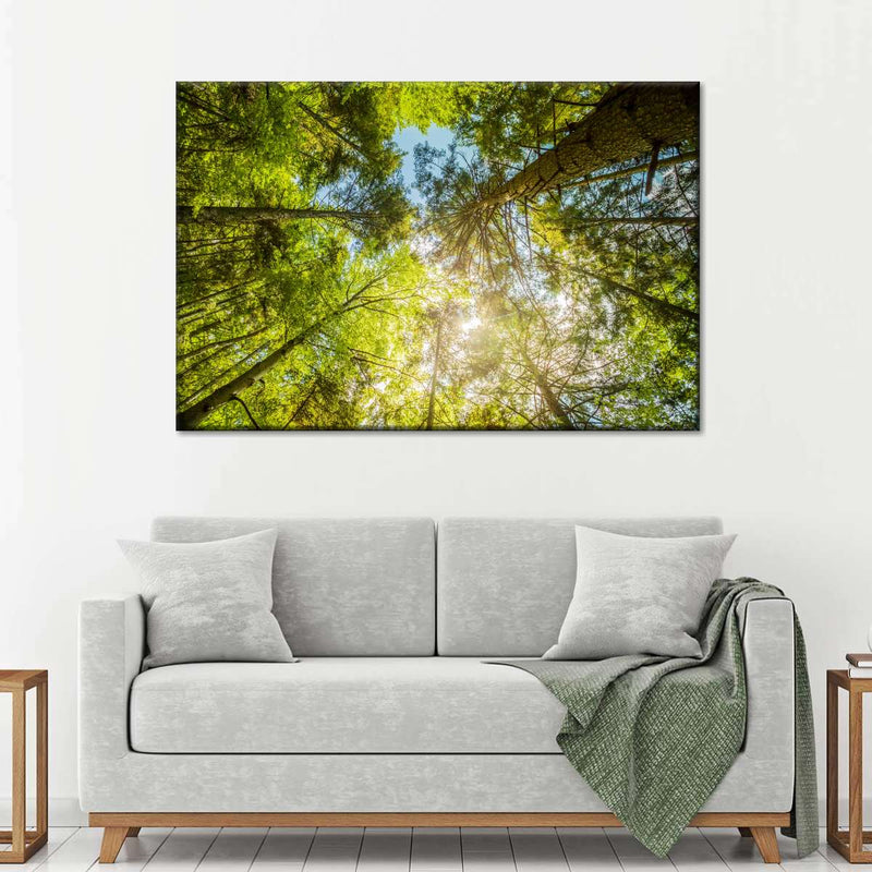 Tree Top Wall Art