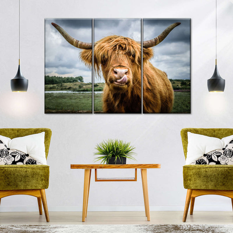 Silly Highland Cow Wall Art