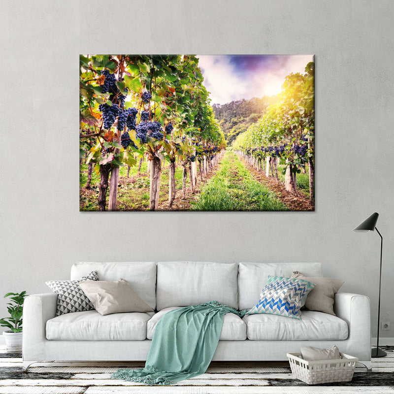 Autumn Vineyard Landscape Wall Art