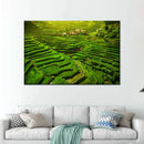 Historic Ifugao Rice Terraces Wall Art