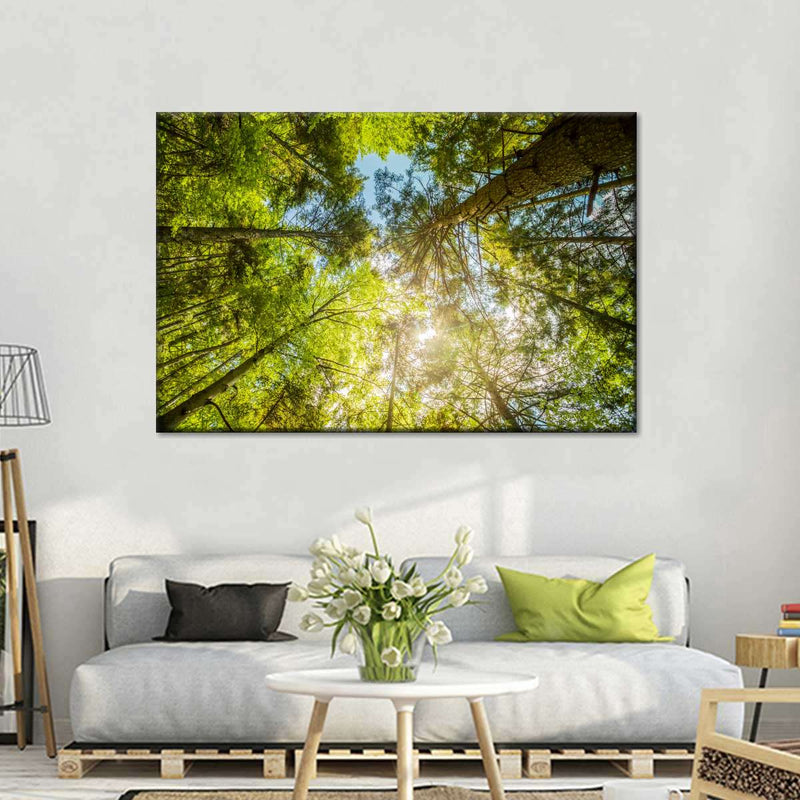 Tree Top Wall Art