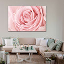 Fresh Pink Rose Wall Art