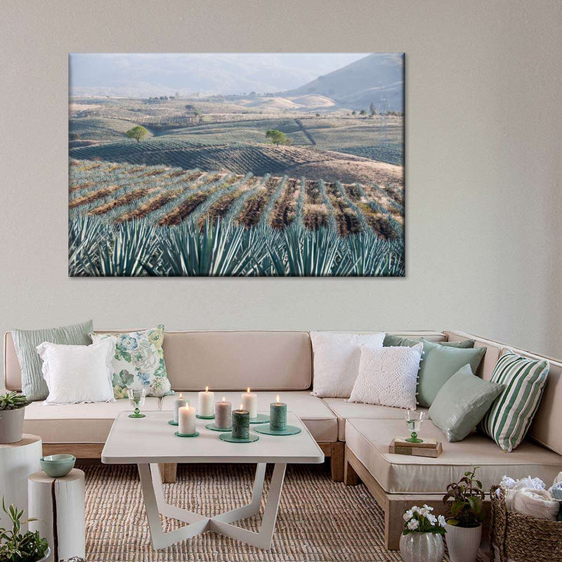 Tequila Jalisco Agave Field Wall Art