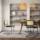 2 Pieces Mid-Century Modern Dining Chair with Cantilever Design-Black by LJGDeals