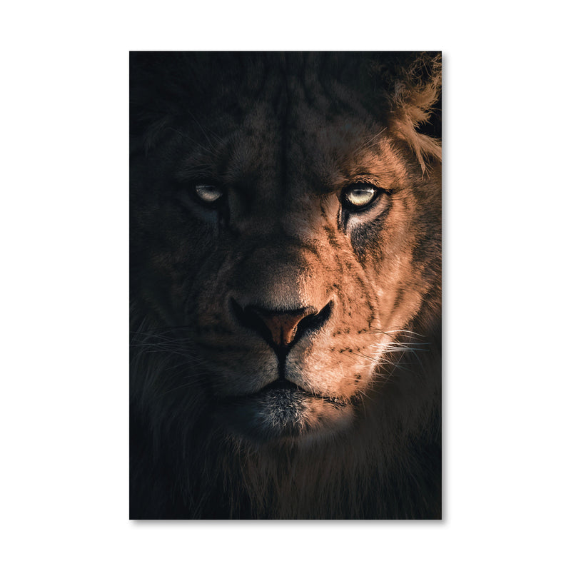 Mighty Lion Canvas