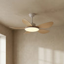 Minimalist Brinley Ceiling Fan Lights