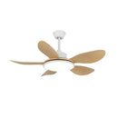 Minimalist Brinley Ceiling Fan Lights