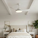 Minimalist Brinley Ceiling Fan Lights
