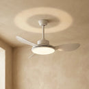 Minimalist Brinley Ceiling Fan Lights