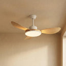 Minimalist Brinley Ceiling Fan Lights