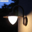 GobekUsa Minimalist LED Wall Sconce with Black Metal Gooseneck Arm - Strawberry Garden Mount Light