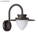 GobekUsa Minimalist LED Wall Sconce with Black Metal Gooseneck Arm - Strawberry Garden Mount Light