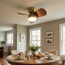 Minimalist Miroter Ceiling Fan Light