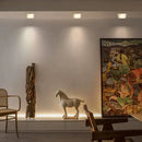 GobekUsa Crystal Dimmable LED Spot Light for Stylish Home Décor