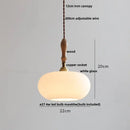 GobekUsa Glass LED Pendant Lamp | Adjustable Nordic Hanging Light