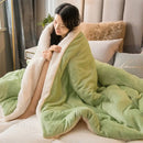 GobekUsa Cozy Dual Use Flannel Duvet Cover - Autumn Winter Warmth Blanket Quilt
