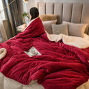 GobekUsa Cozy Dual Use Flannel Duvet Cover - Autumn Winter Warmth Blanket Quilt