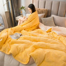 GobekUsa Cozy Dual Use Flannel Duvet Cover - Autumn Winter Warmth Blanket Quilt