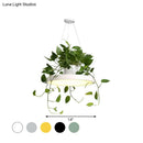 GobekUsa Brooklyn - Round Macaron Round Hanging Light Acrylic LED Pendant Lighting Fixture in Black/Grey/White with Top Plant Pot