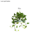 GobekUsa Brooklyn - Round Macaron Round Hanging Light Acrylic LED Pendant Lighting Fixture in Black/Grey/White with Top Plant Pot