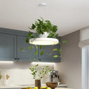 GobekUsa Brooklyn - Round Macaron Round Hanging Light Acrylic LED Pendant Lighting Fixture in Black/Grey/White with Top Plant Pot