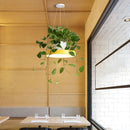 GobekUsa Brooklyn - Round Macaron Round Hanging Light Acrylic LED Pendant Lighting Fixture in Black/Grey/White with Top Plant Pot